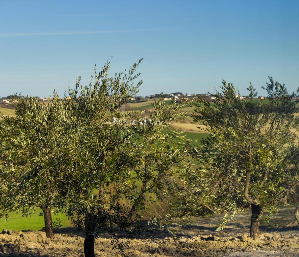 Villa Saltregna Cervidone Exteriér fotografie